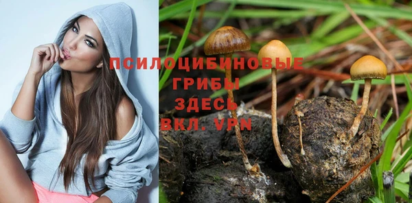 синтетический гашиш Верхний Тагил